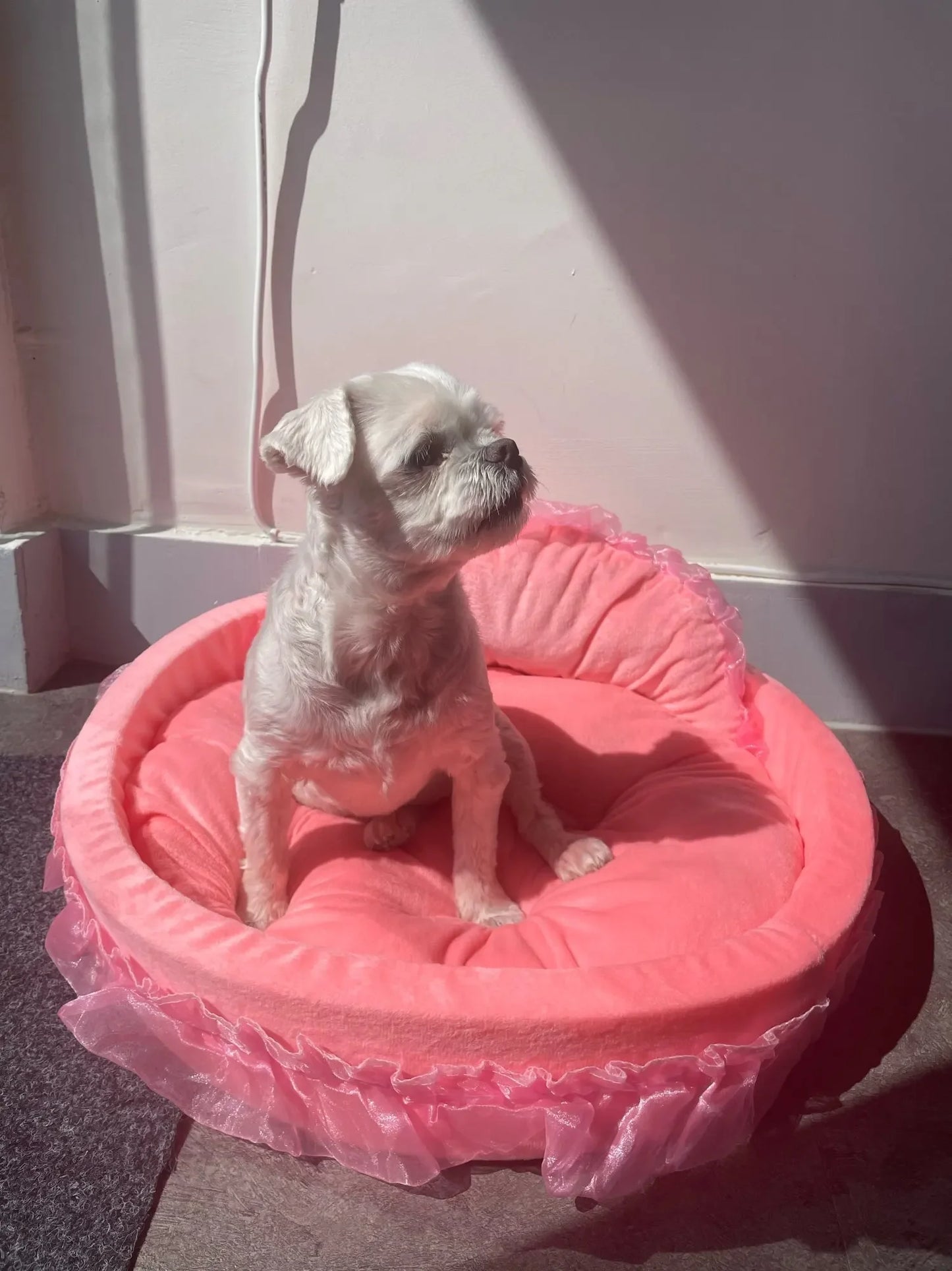 PFW Princess Style Lace Pet Bed – Detachable & Soft