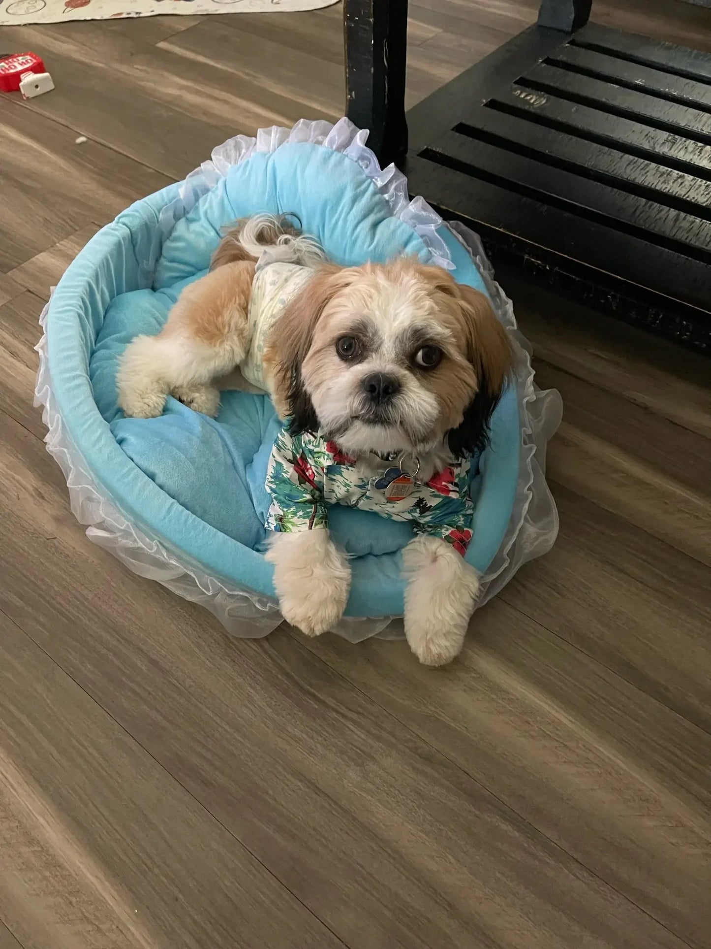 PFW Princess Style Lace Pet Bed – Detachable & Soft