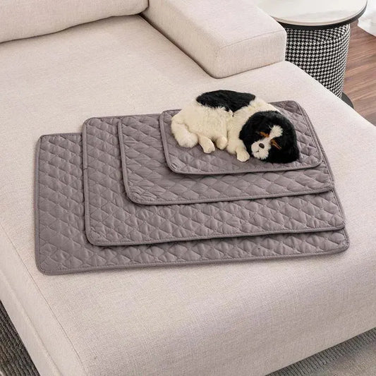 PFW Waterproof Washable Pet Mat – Small & Portable